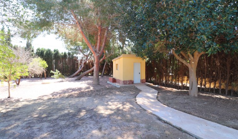 Reventa - Country Property - Callosa de Segura - Callosa de Segura - Country