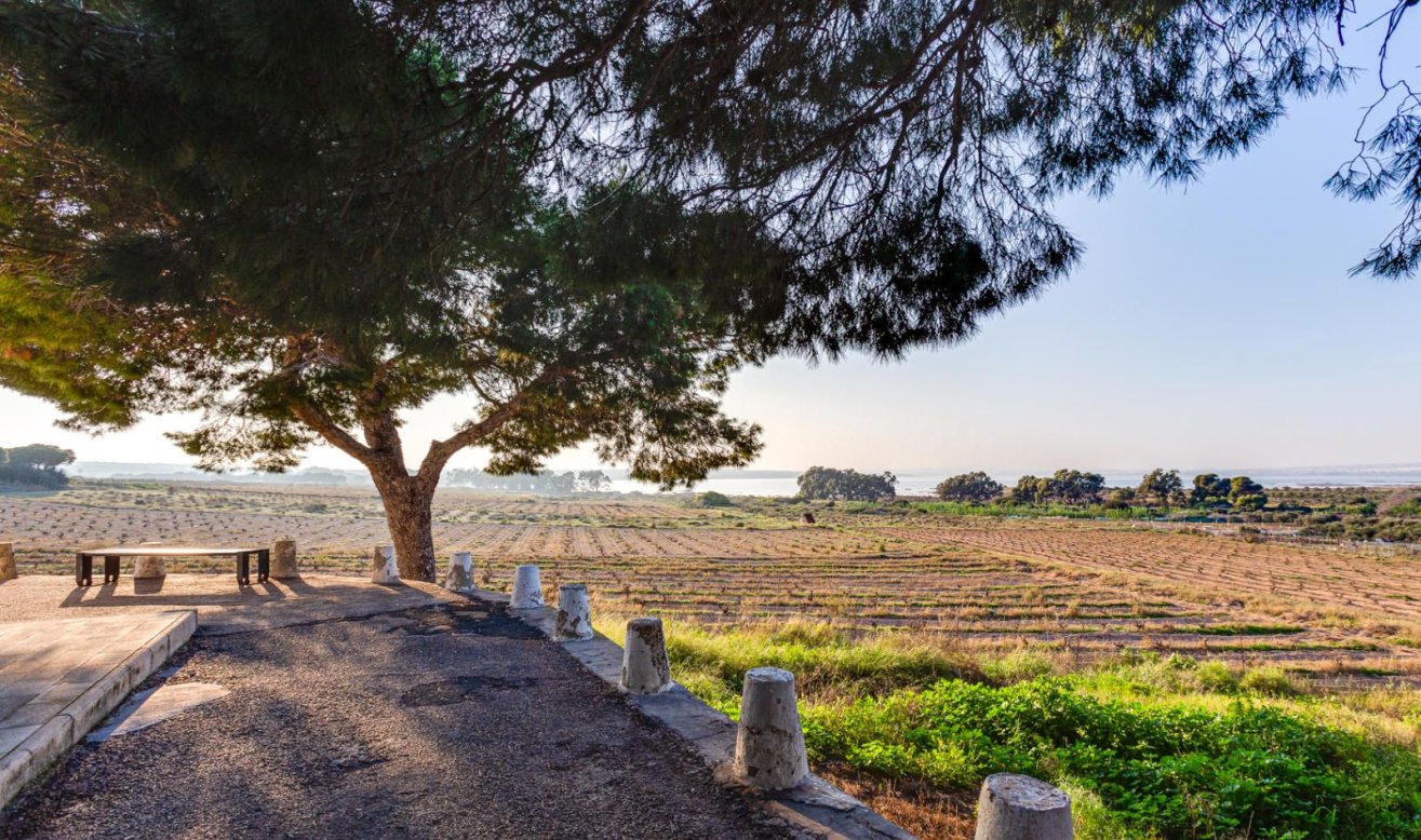 Reventa - Bungalow - Torrevieja - Jardin del Mar