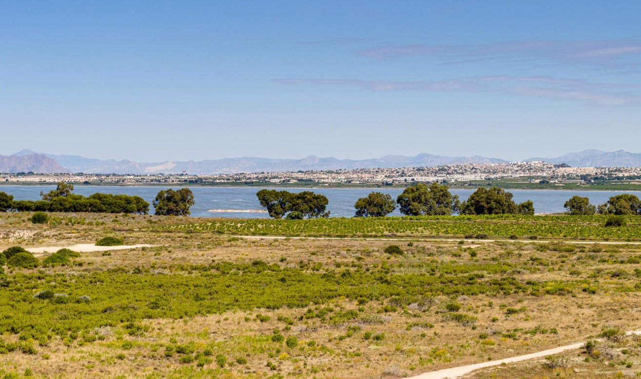 Reventa - Bungalow - Torrevieja - Jardin del Mar