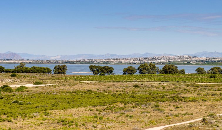 Reventa - Bungalow - Torrevieja - Jardin del Mar