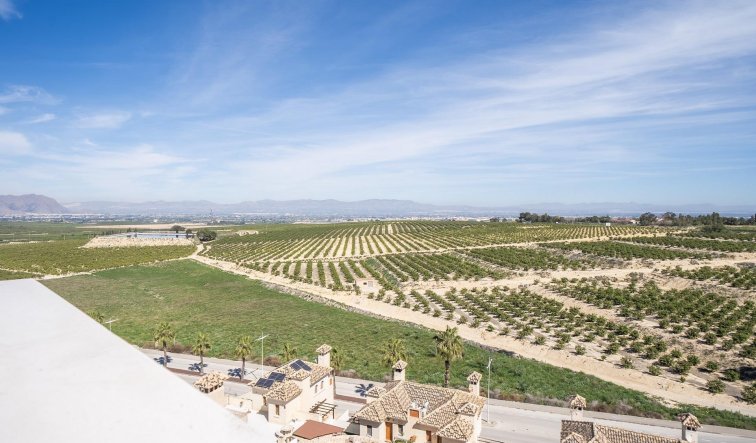 Obra nueva - Villa - Algorfa - La Finca Golf