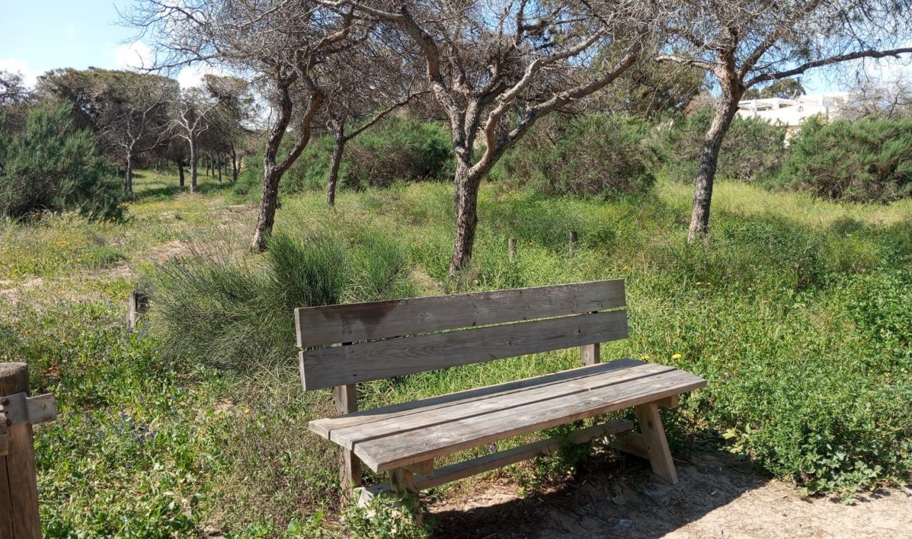 Reventa - Bungalow - Guardamar del Segura - Urbanizaciones