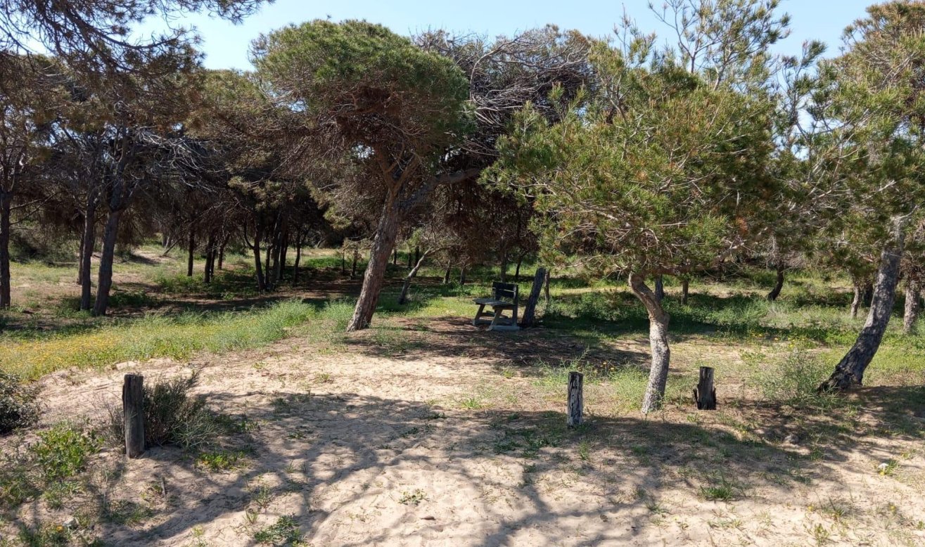 Reventa - Bungalow - Guardamar del Segura - Urbanizaciones