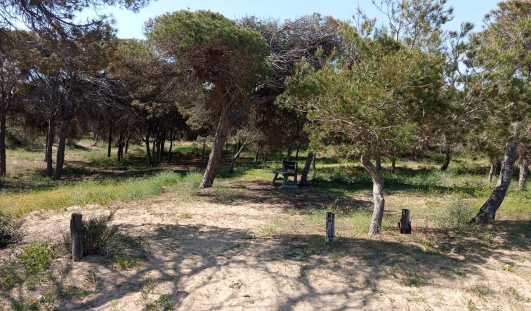 Reventa - Bungalow - Guardamar del Segura - Urbanizaciones