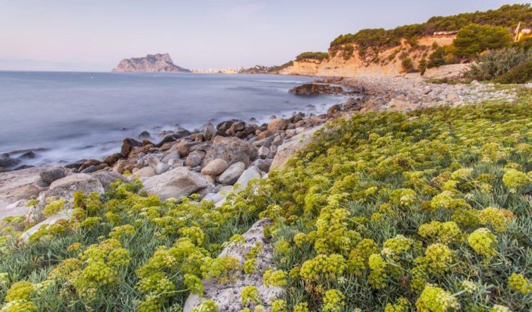 Obra nueva - Villa - Benissa - Cala Advocat