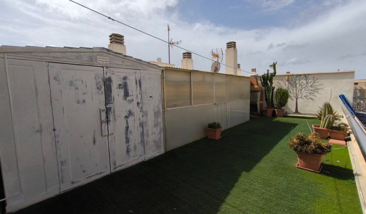 Reventa - Ático - Torrevieja - PLAYA LOS LOCOS