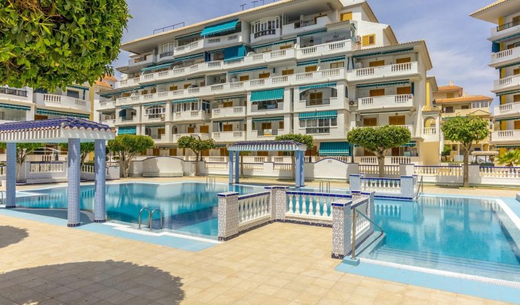 Reventa - Apartamento / piso - Torrevieja - Los Europeos