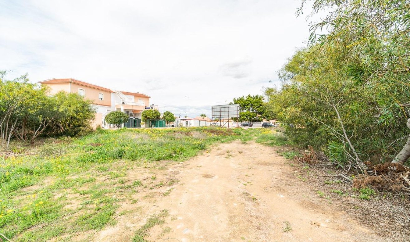 Reventa - Plot - Torrevieja - Los balcones