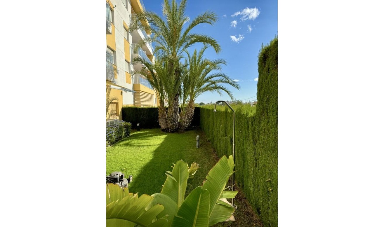 Reventa - Apartamento / piso - Dehesa de Campoamor