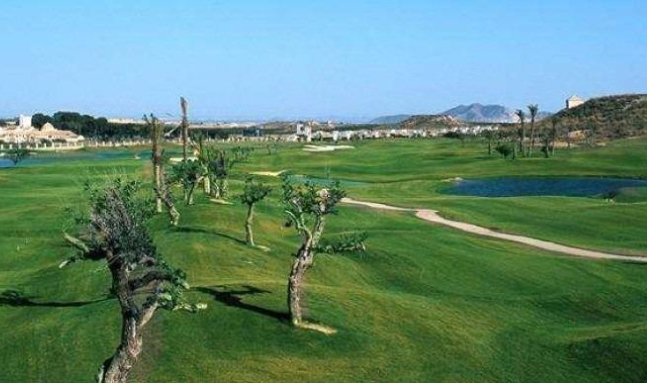 Obra nueva - Villa - Sucina - Peraleja Golf