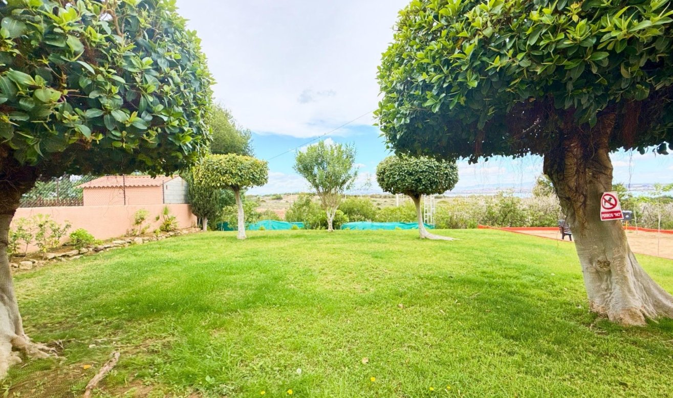 Reventa - Apartamento / piso - Torrevieja - Torreblanca
