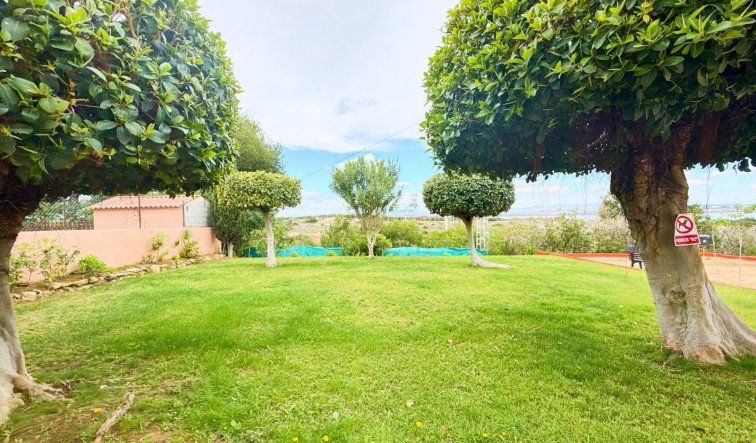 Reventa - Apartamento / piso - Torrevieja - Torreblanca