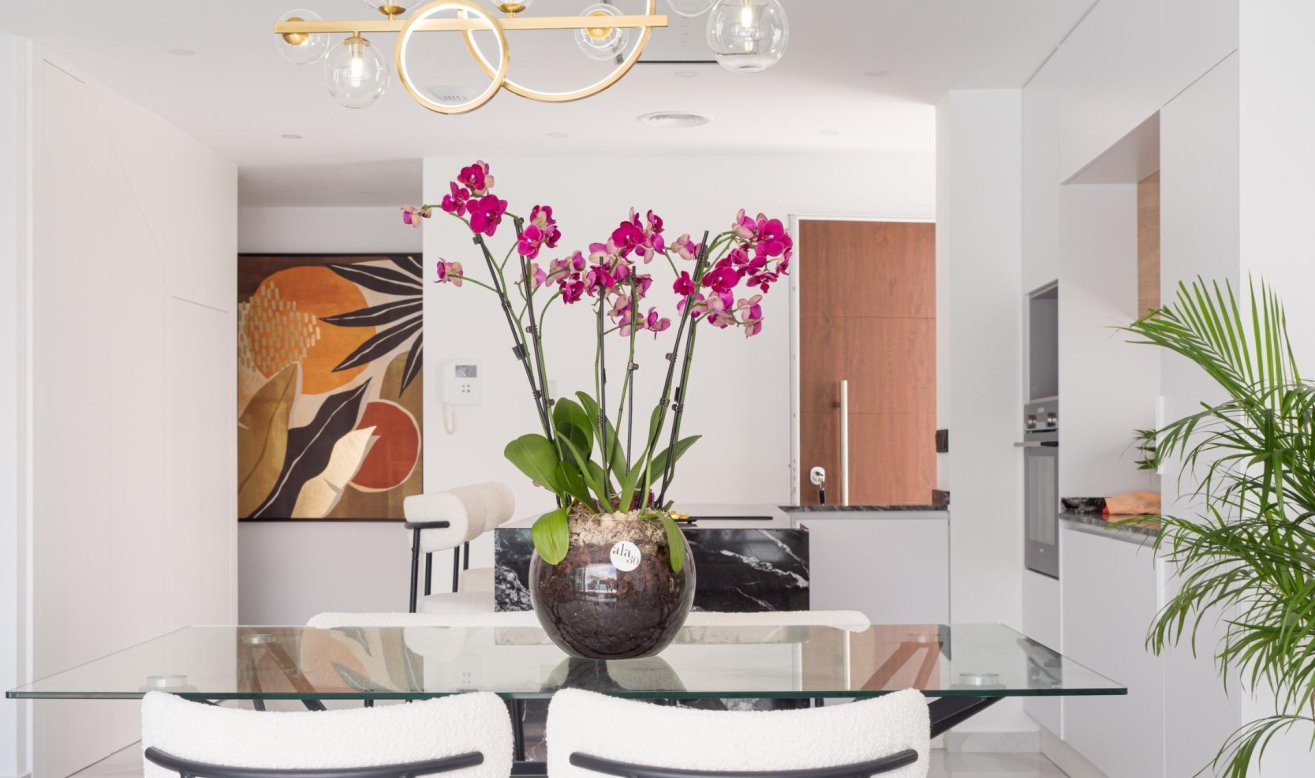 Obra nueva - Villa - San Pedro del Pinatar - San Pedro Del Pinatar