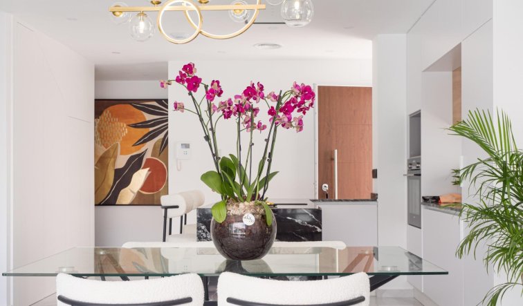 Obra nueva - Villa - San Pedro del Pinatar - San Pedro Del Pinatar