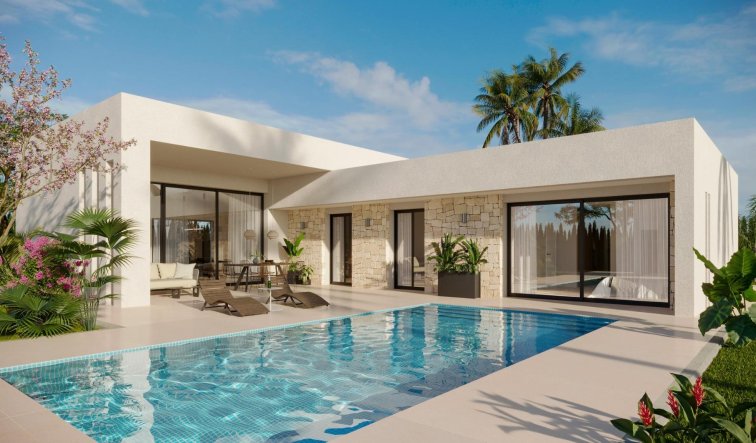Obra nueva - Villa - Aspe - Poligono 19