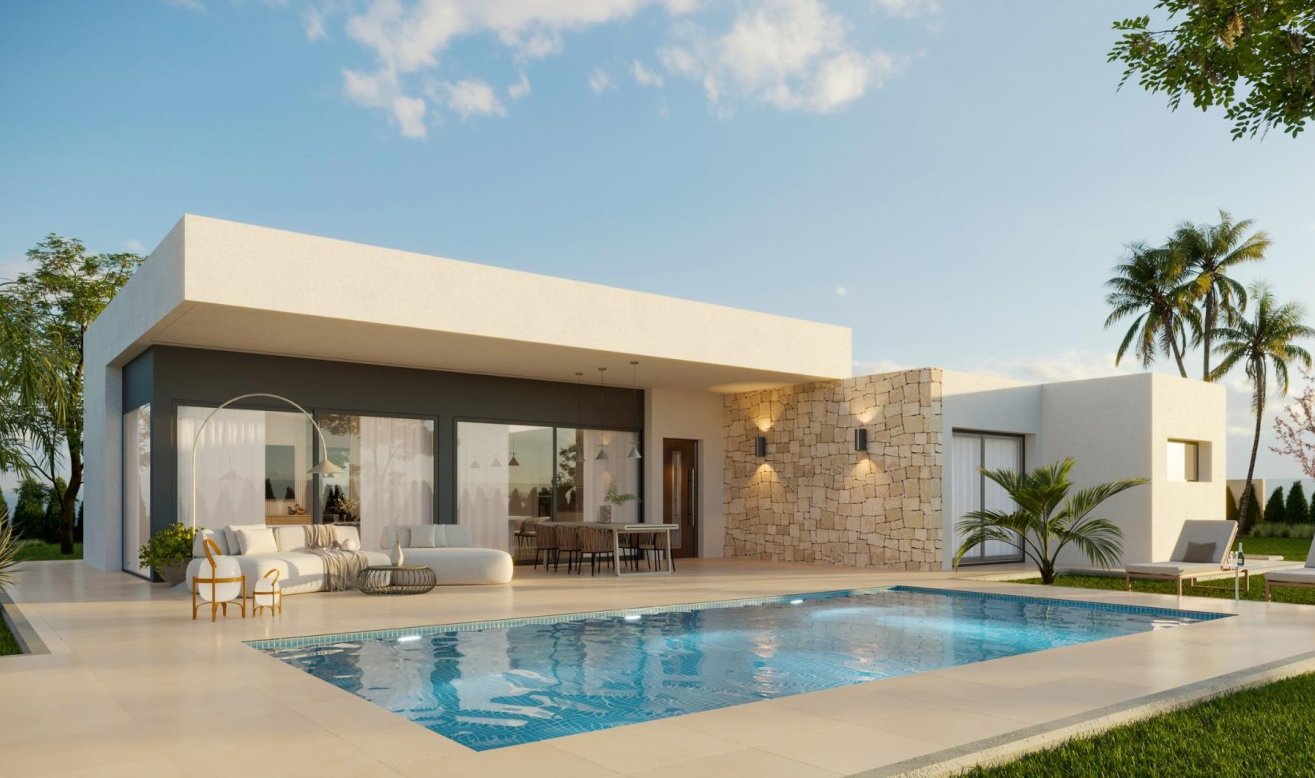Obra nueva - Villa - Aspe - Poligono 19