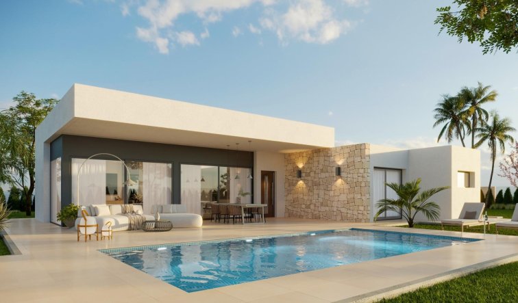 Obra nueva - Villa - Aspe - Poligono 19