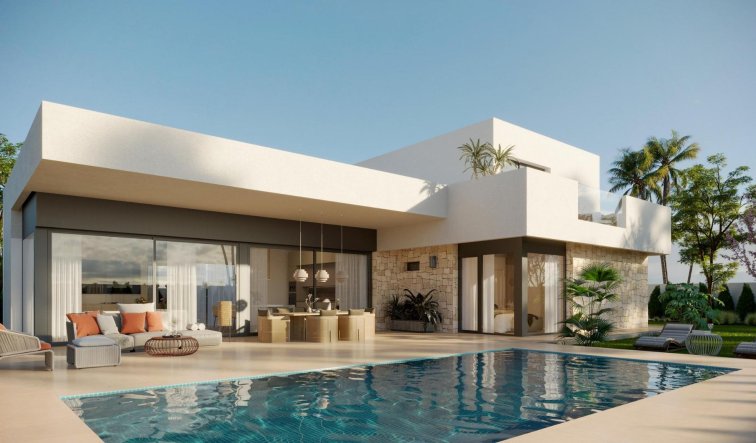 Obra nueva - Villa - Aspe - Poligono 19