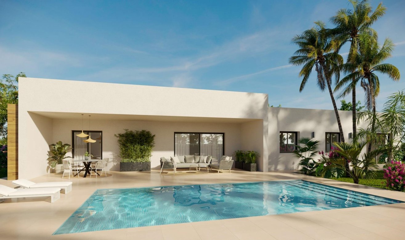 Obra nueva - Villa - Aspe - Poligono 19