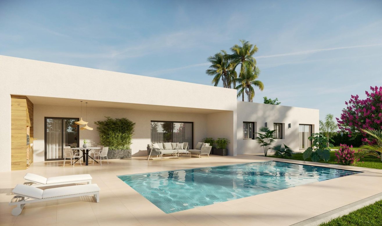Obra nueva - Villa - Aspe - Poligono 19