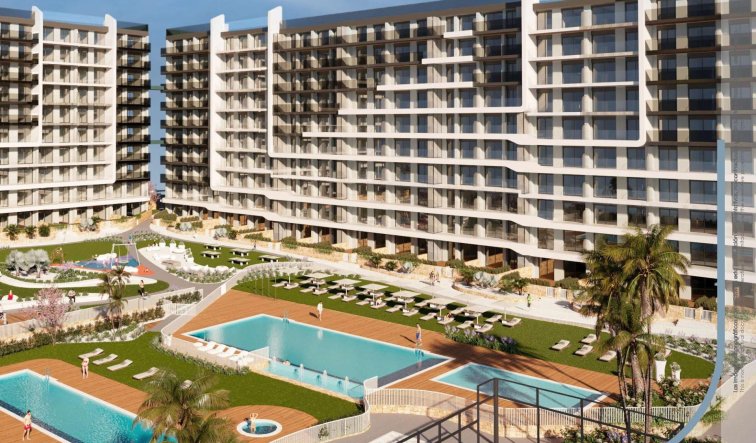 Obra nueva - Ático - Torrevieja - Punta Prima