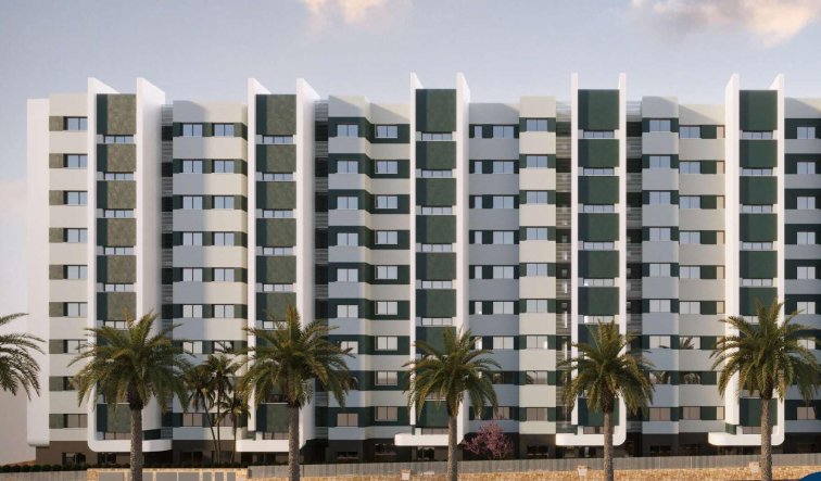 Obra nueva - Ático - Torrevieja - Punta Prima