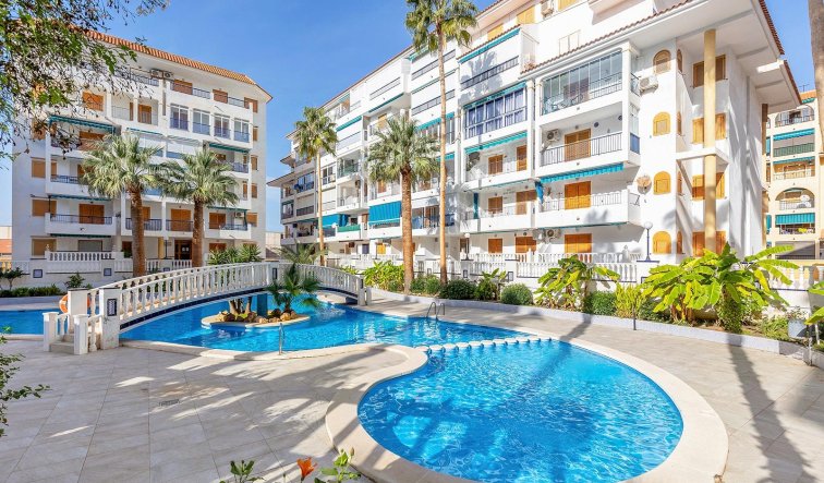 Reventa - Ático - Torrevieja - Los Europeos