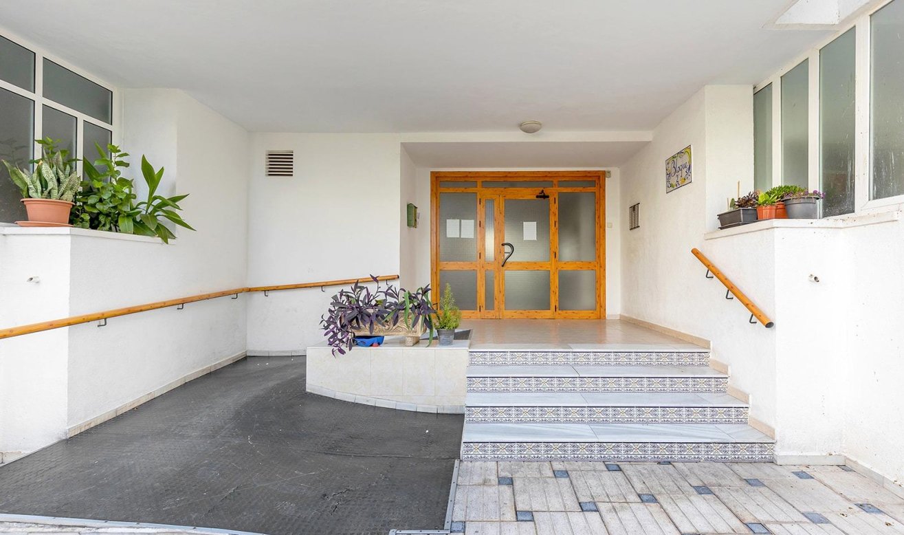 Reventa - Ático - Torrevieja - Los Europeos