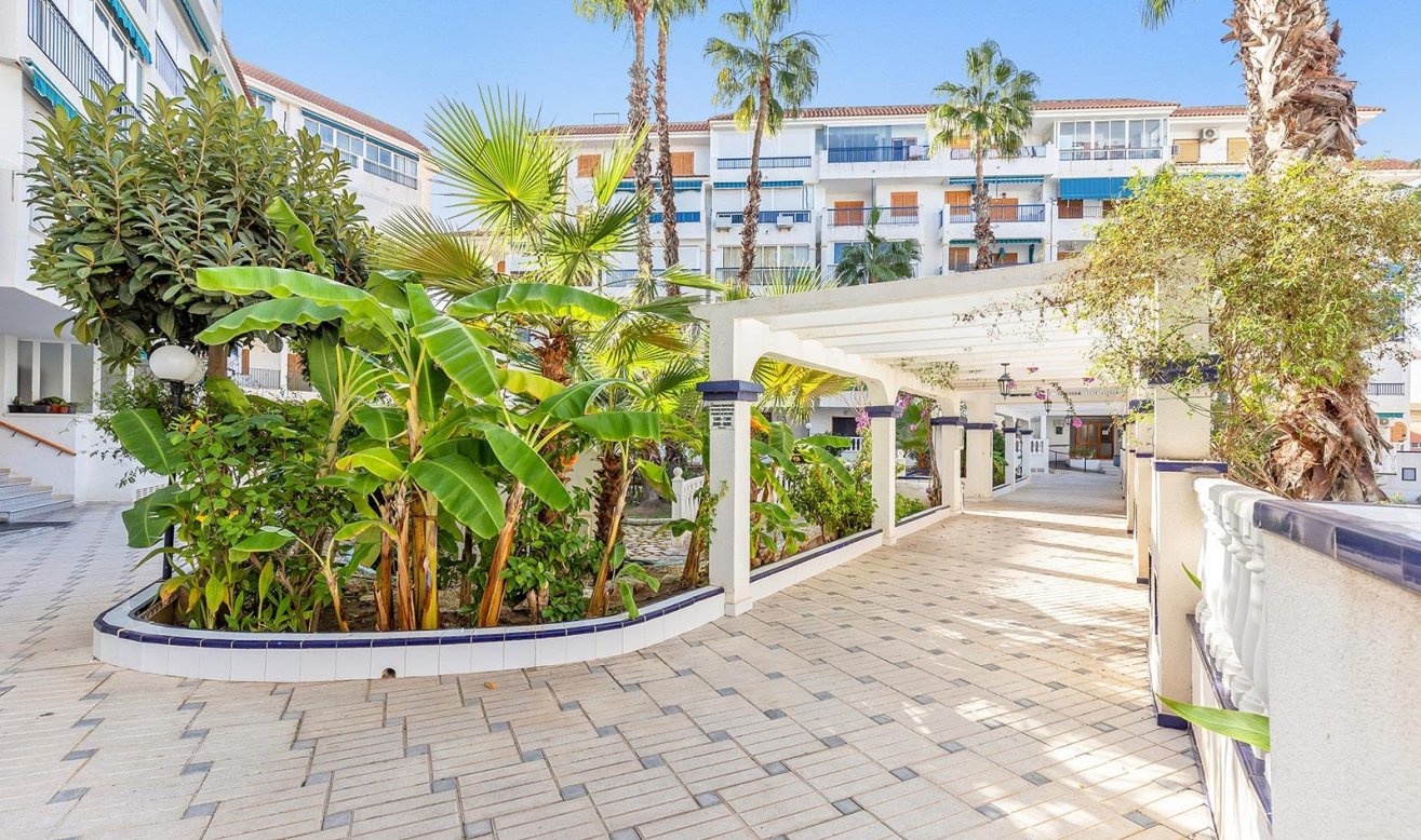 Reventa - Ático - Torrevieja - Los Europeos
