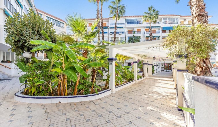 Reventa - Ático - Torrevieja - Los Europeos