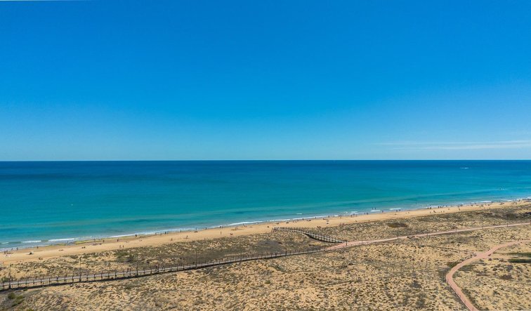 Reventa - Ático - Torrevieja - Los Europeos
