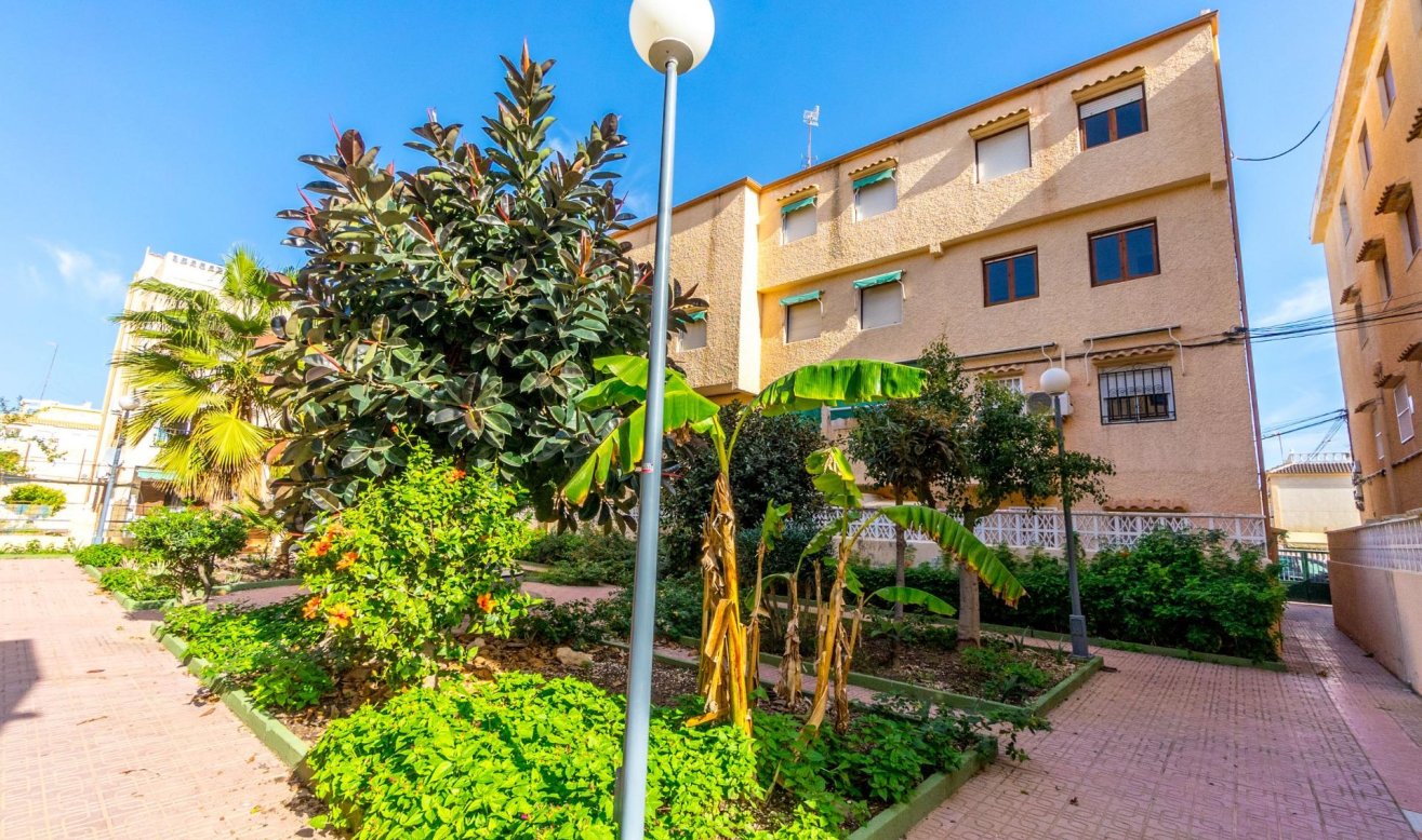 Reventa - Apartamento / piso - Torrevieja - Los Europeos