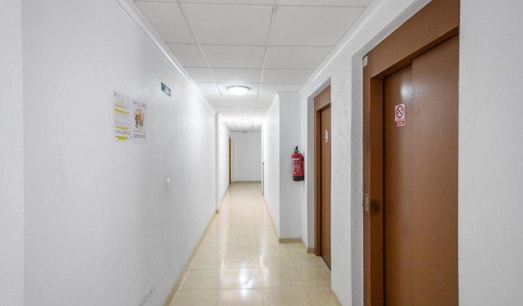 Reventa - Ático - Torrevieja - El molino