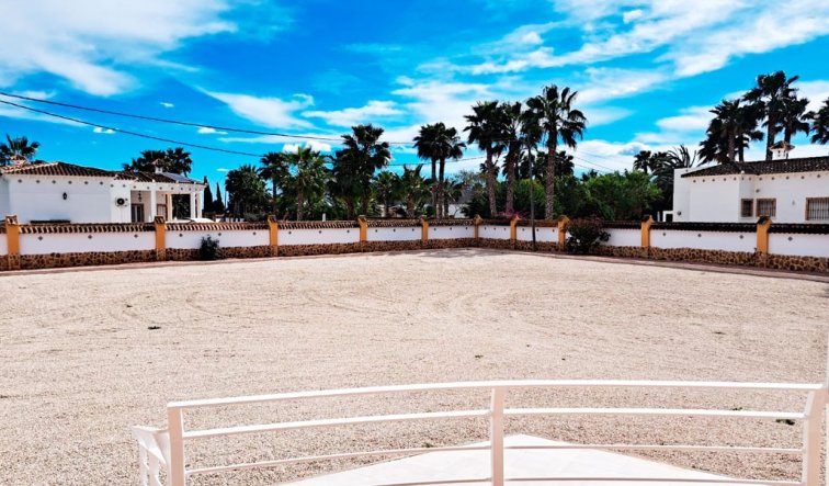 Reventa - Country Property - Catral - Catral - Country