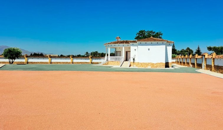 Reventa - Country Property - Catral - Catral - Country