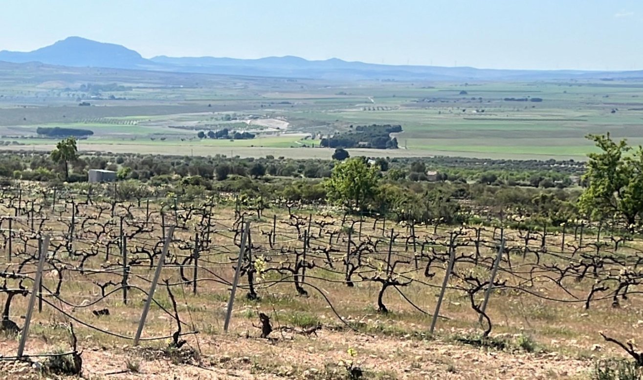 Obra nueva - Villa - Yecla