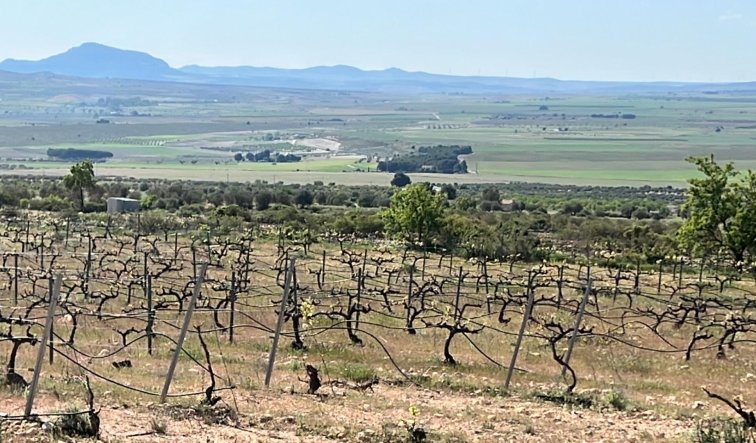 Obra nueva - Villa - Yecla