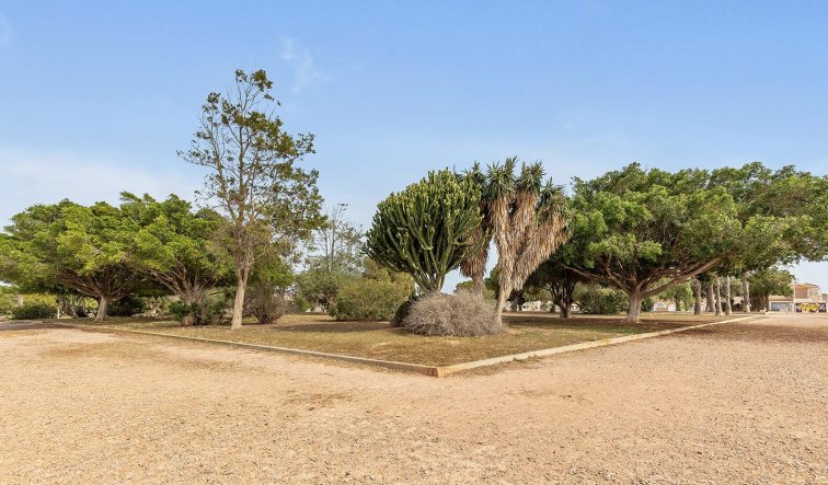 Reventa - Bungalow - Torrevieja - Aguas Nuevas
