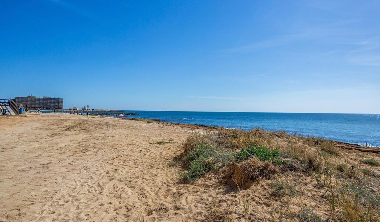 Reventa - Bungalow - Torrevieja - Aguas Nuevas