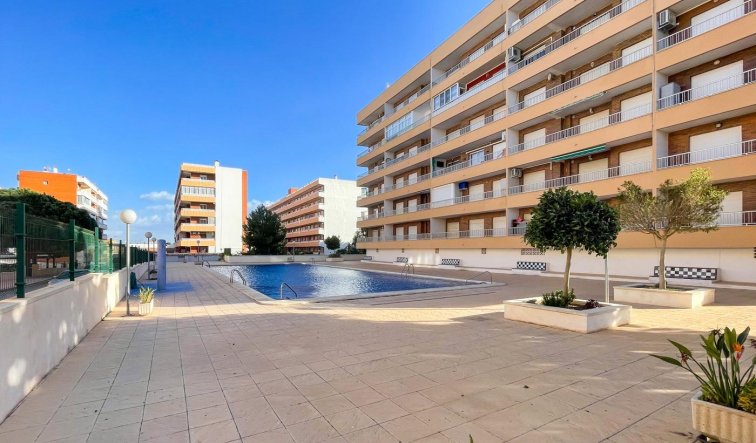 Reventa - Apartamento / piso - Torrevieja - Punta prima