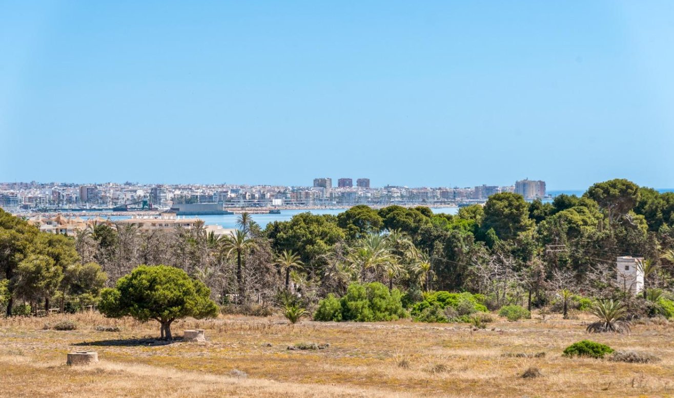 Reventa - Apartamento / piso - Torrevieja - Punta prima