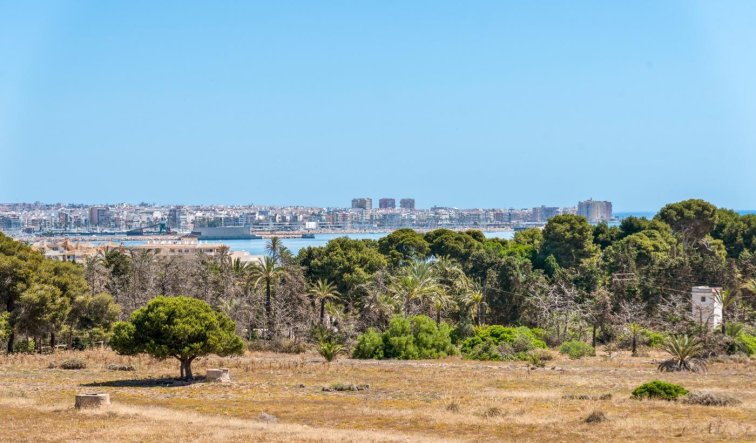 Reventa - Apartamento / piso - Torrevieja - Punta prima