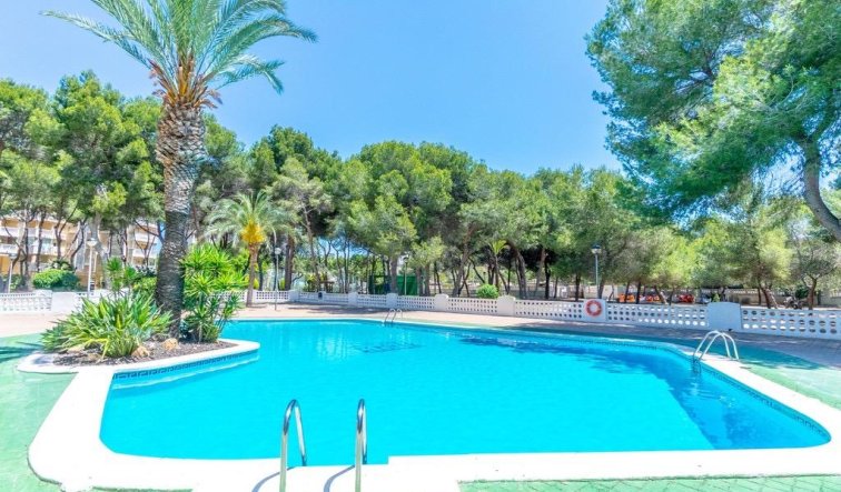 Reventa - Apartamento / piso - Orihuela Costa - Altos de Campoamor