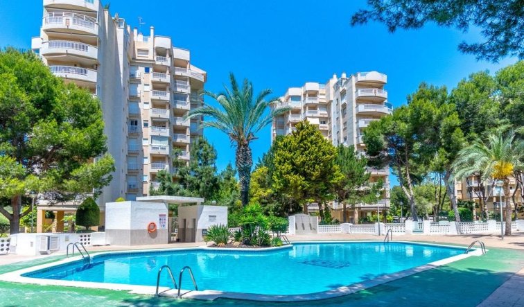 Reventa - Apartamento / piso - Orihuela Costa - Altos de Campoamor