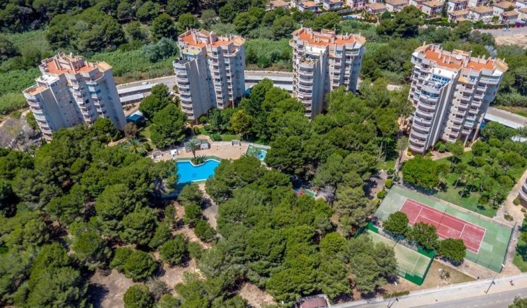 Reventa - Apartamento / piso - Orihuela Costa - Altos de Campoamor
