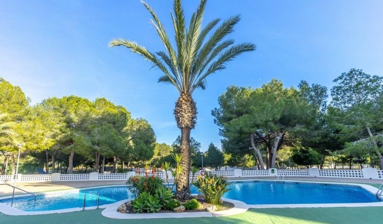 Reventa - Apartamento / piso - Orihuela Costa - Altos de Campoamor