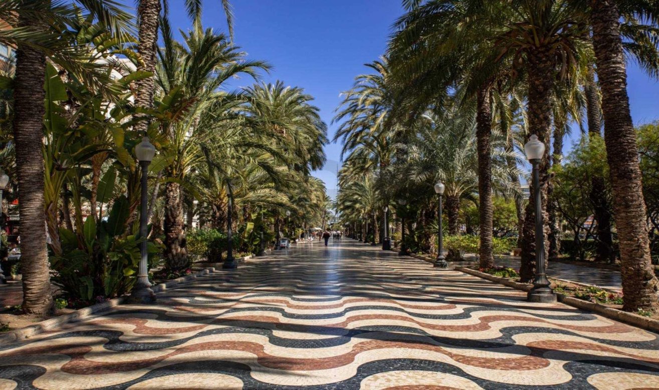 Obra nueva - Ático - Alicante - Centro