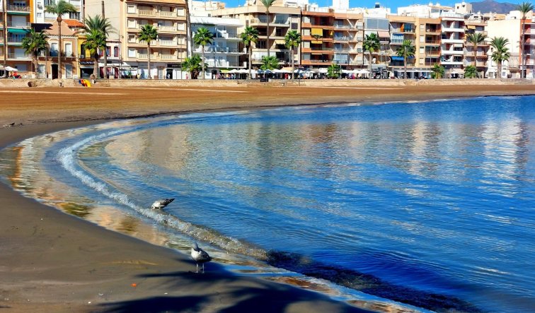 Obra nueva - Adosado - Fuente Álamo - La Pinilla