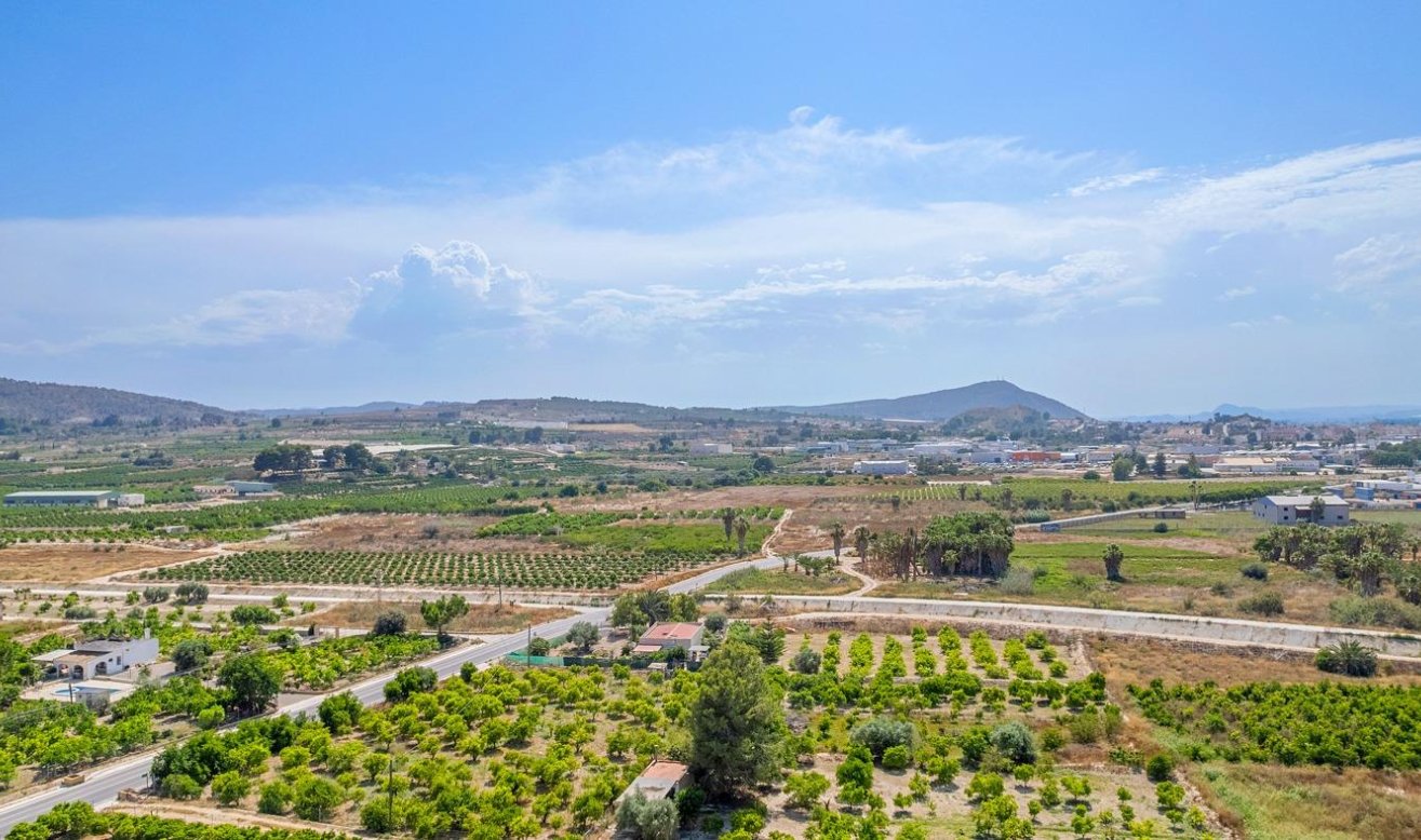 Obra nueva - Ático - Jacarilla - pueblo