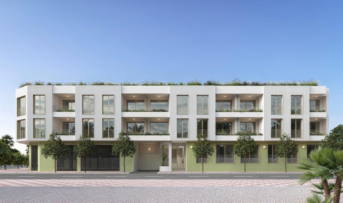 Obra nueva - Apartamento / piso - Jacarilla - pueblo